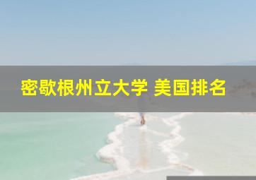 密歇根州立大学 美国排名